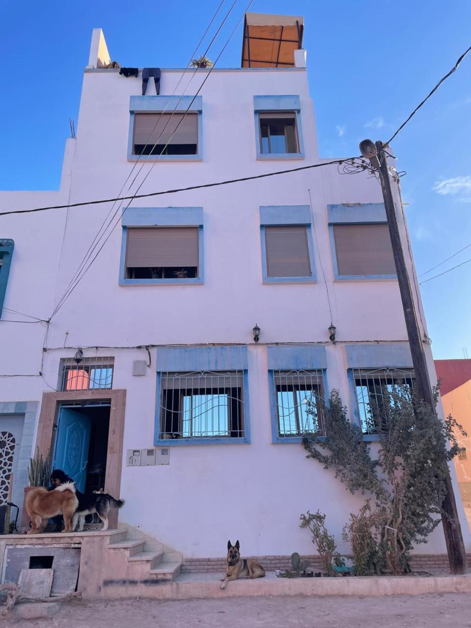 Atlantic Vibes Surf Hostel Tamraght Exterior photo